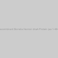 Image of Recombinant Borrelia Hermsii dnaA Protein (aa 1-484)